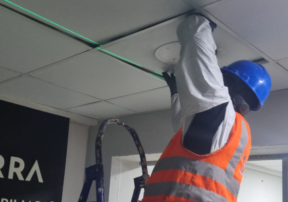 Diseño sin título (35)