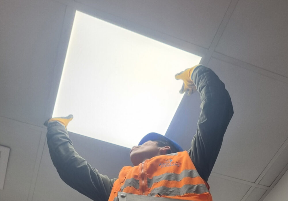 Diseño sin título (51)