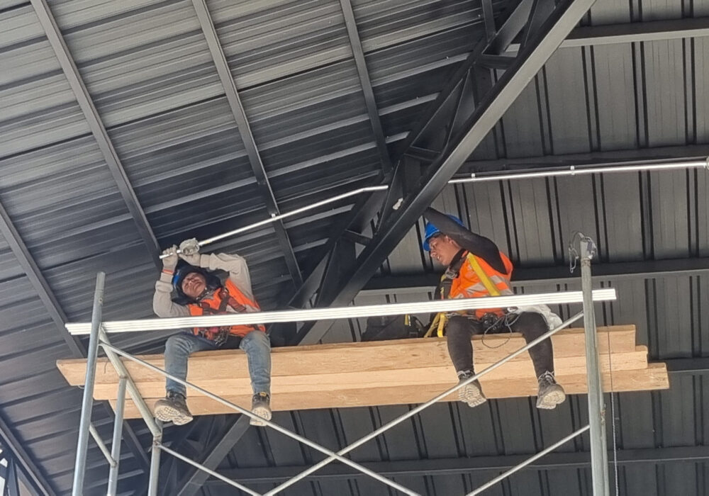 Diseño sin título (63)