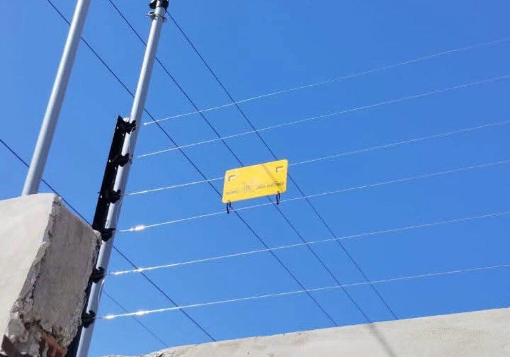 Sin título (13)