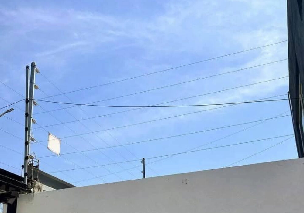 Sin título (19)